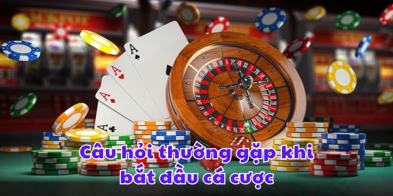 Câu hỏi thường gặp khi bắt đầu cá cược