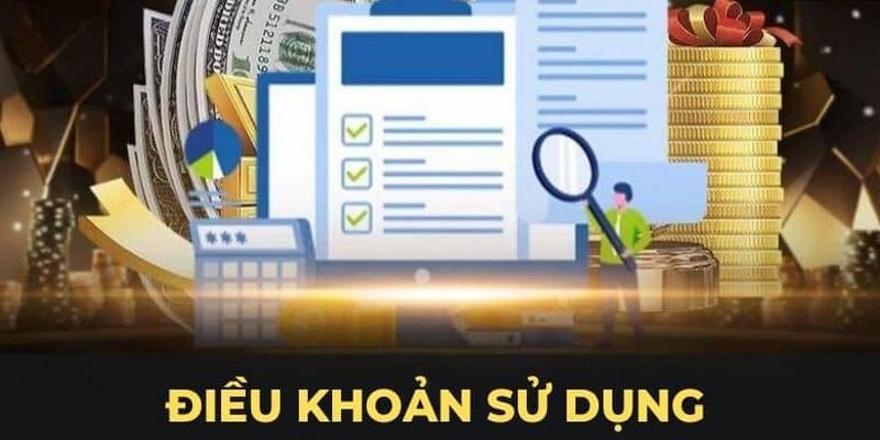 Các điều khoản áp dụng với quy định rõ ràng và chi tiết